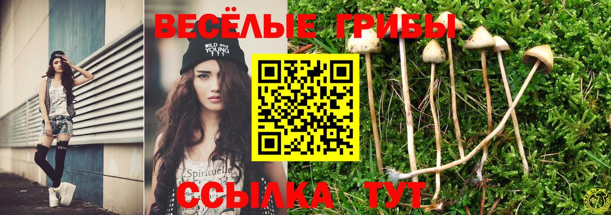 Галлюциногенные грибы Psilocybine cubensis  Псилоцибиновые грибы Psilocybe  Острогожск  Вход с VPN 